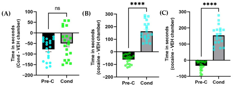 PMC13297324 – brainsci-16-00585-f001