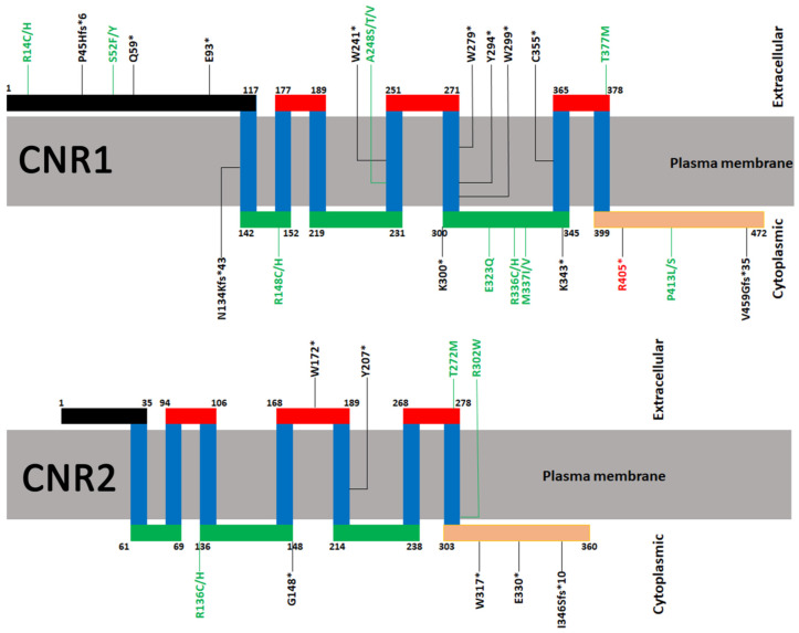 PMC13298140 – cimb-48-00610-f002