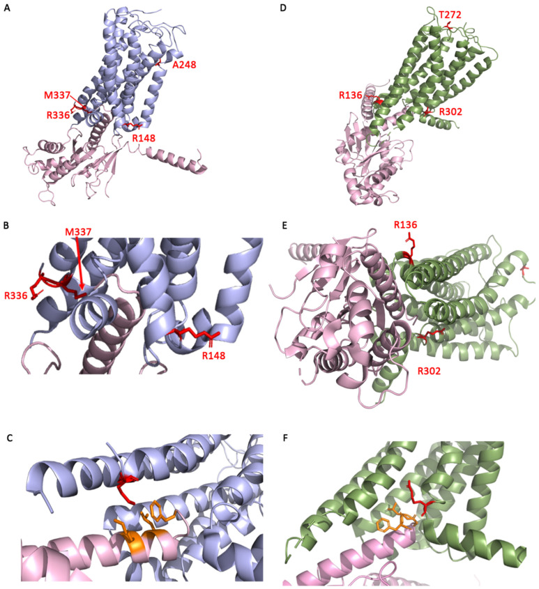 PMC13298140 – cimb-48-00610-f004