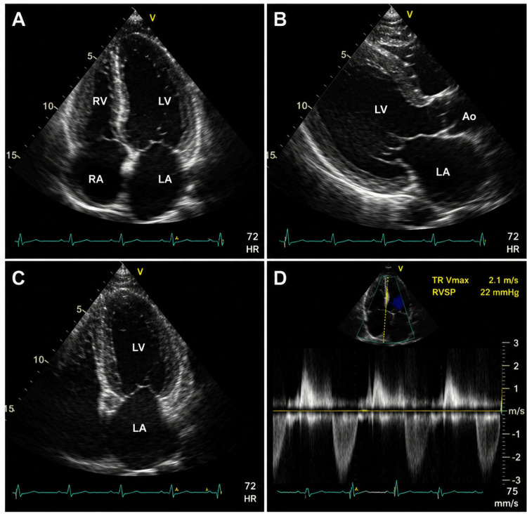 PMC13294481 – FIG4