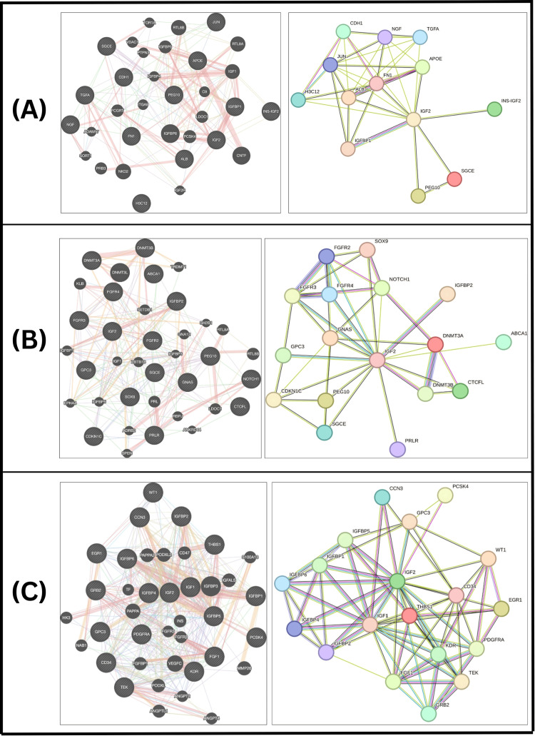 PMC13355938 – FIG10