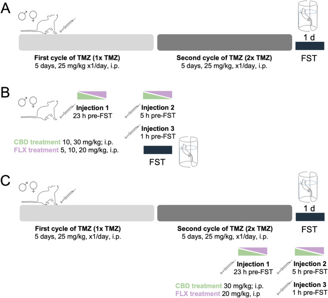 PMC13357983 – F1