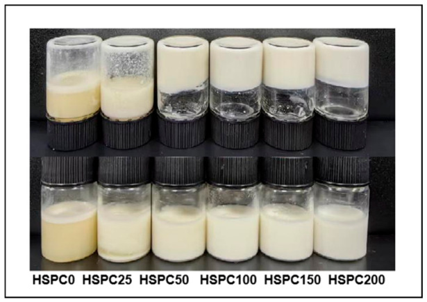 PMC13298857 – gels-12-00484-f001