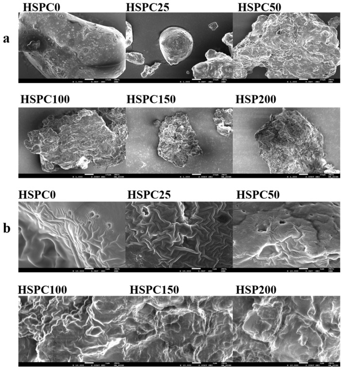 PMC13298857 – gels-12-00484-f005