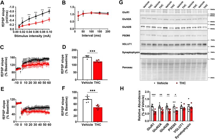 PMC13315650 – fig2
