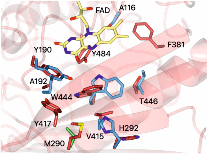 PMC13400433 – fig4