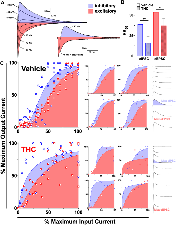 PMC13315650 – fig5