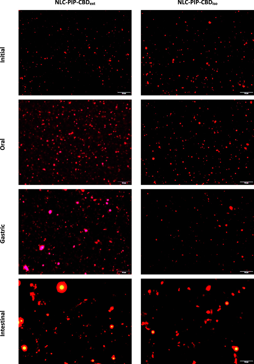 PMC13329993 – fig3