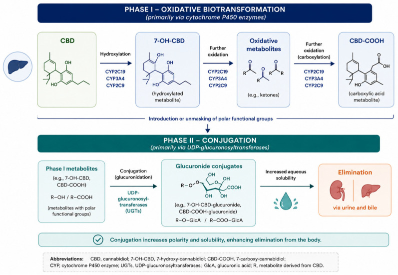 PMC13363459 – molecules-31-02385-f002