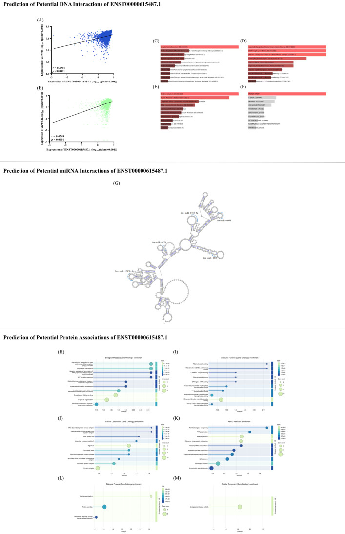 PMC13397989 – ncrna-12-00024-f004