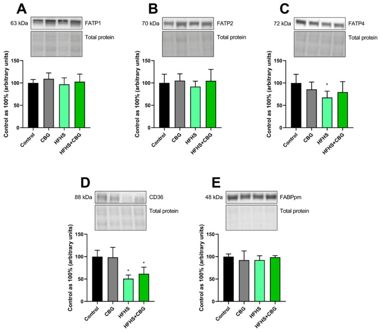 PMC13362918 – nutrients-18-02063-f001