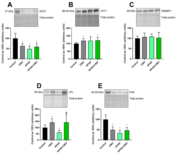 PMC13362918 – nutrients-18-02063-f002