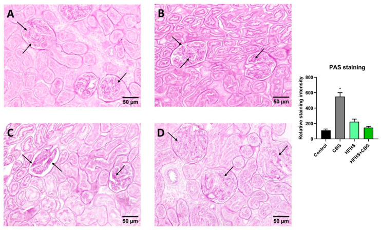 PMC13362918 – nutrients-18-02063-f006