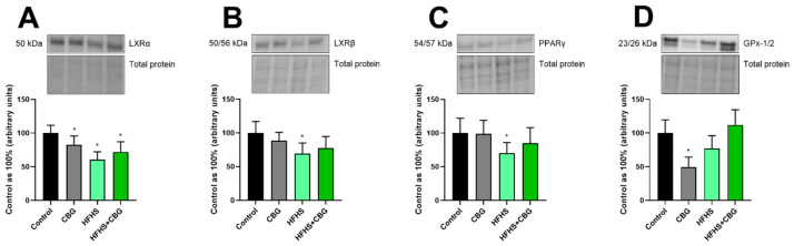 PMC13362918 – nutrients-18-02063-f009