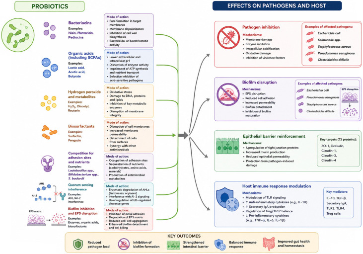 PMC13363466 – nutrients-18-02112-f001