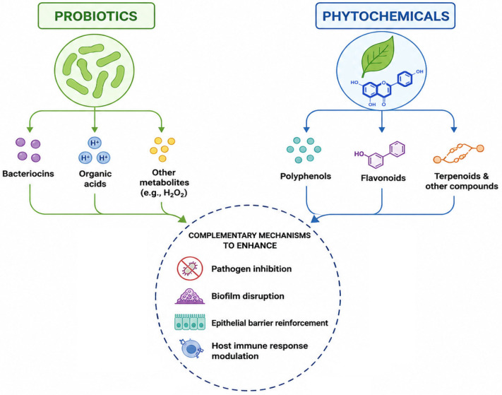PMC13363466 – nutrients-18-02112-f002