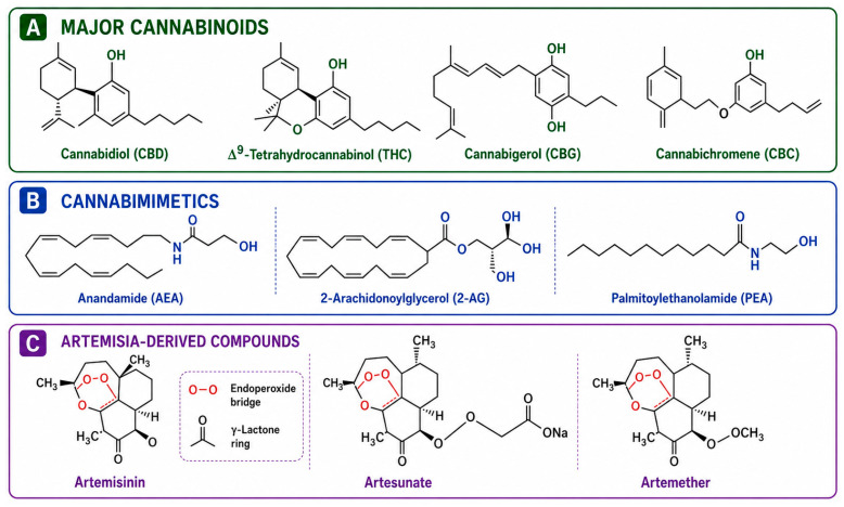 PMC13304759 – pharmaceuticals-19-00869-f001