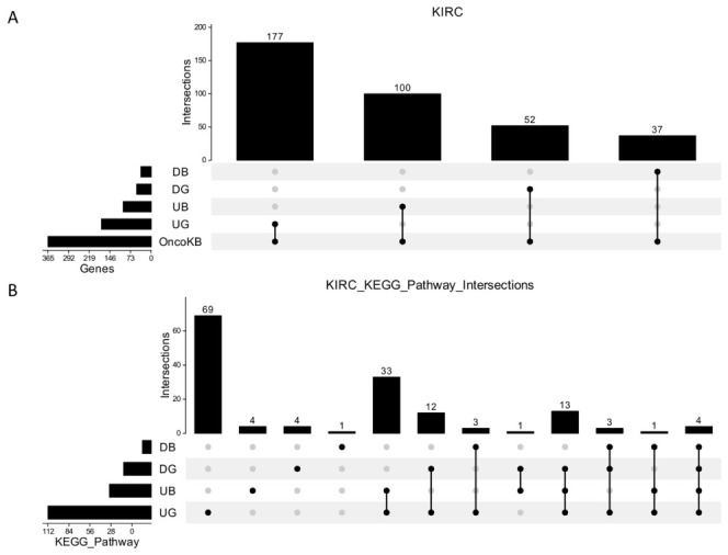 PMC13304722 – pharmaceuticals-19-00936-f003