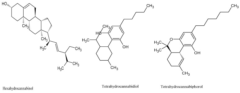 PMC13414980 – pharmaceuticals-19-01022-f001