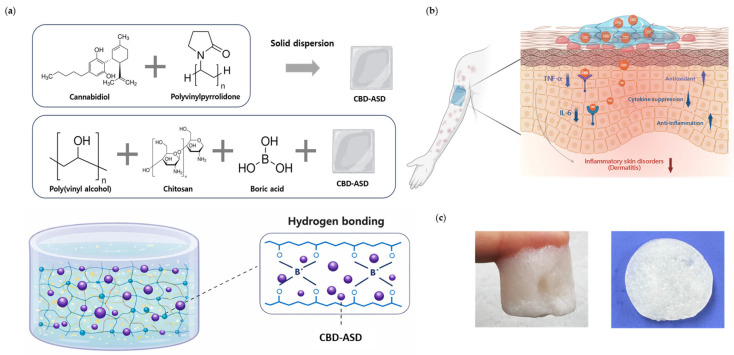 PMC13306709 – pharmaceutics-18-00666-f001
