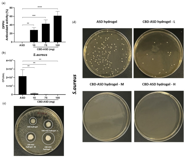 PMC13306709 – pharmaceutics-18-00666-f006