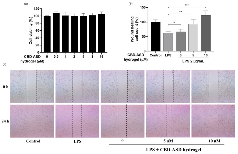 PMC13306709 – pharmaceutics-18-00666-f007