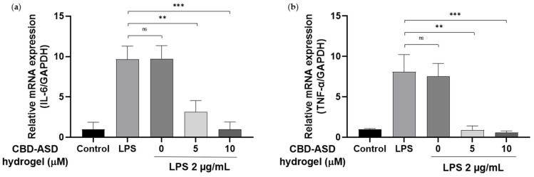PMC13306709 – pharmaceutics-18-00666-f008