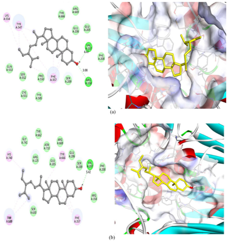 PMC13306514 – pharmaceutics-18-00741-f010