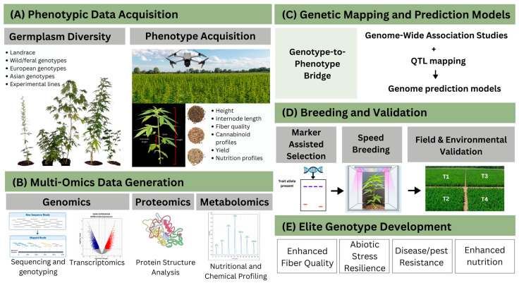 PMC13363910 – plants-15-02088-f004