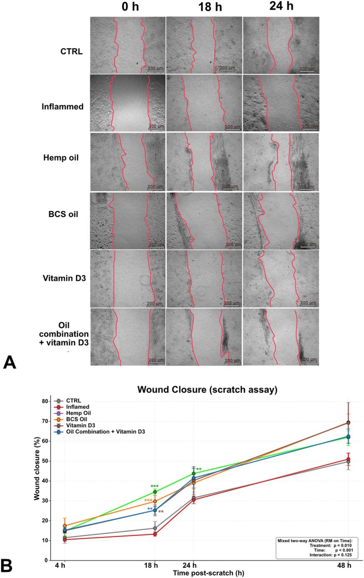 PMC13457580 – biof70137-fig-0005