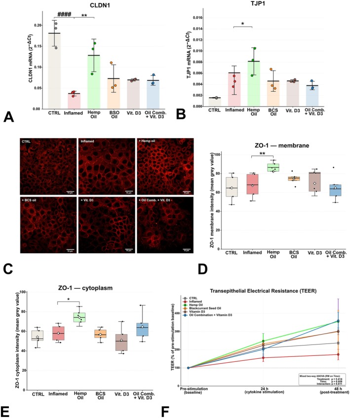 PMC13457580 – biof70137-fig-0004
