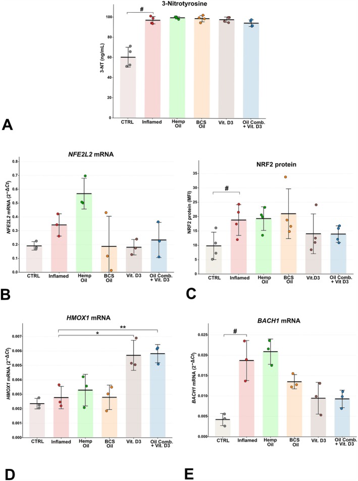 PMC13457580 – biof70137-fig-0006