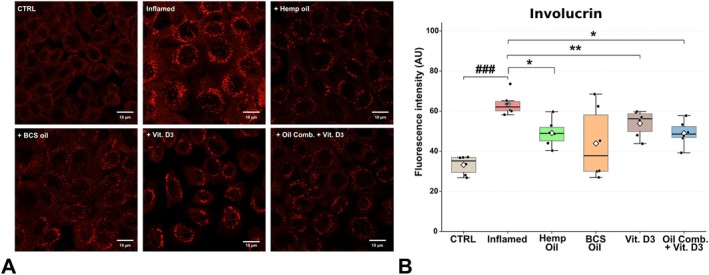 PMC13457580 – biof70137-fig-0003