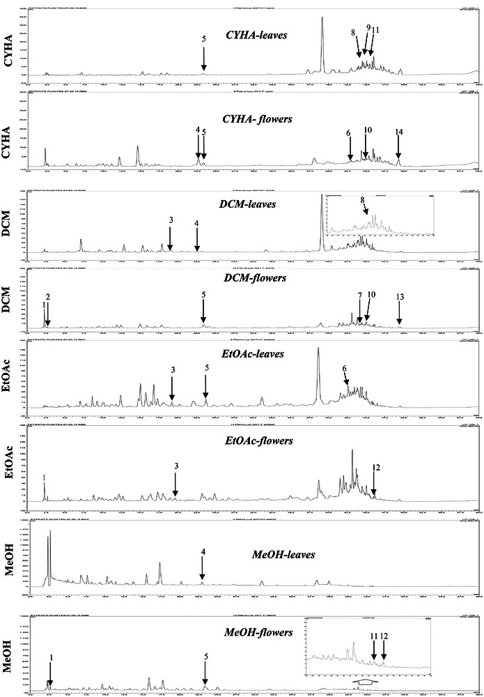 PMC13446864 – cbdv71576-fig-0002