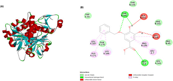 PMC13446864 – cbdv71576-fig-0007