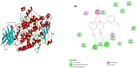 PMC13446864 – cbdv71576-fig-0008