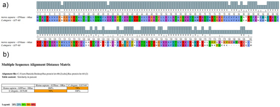 PMC13480929 – cbdv71592-fig-0006