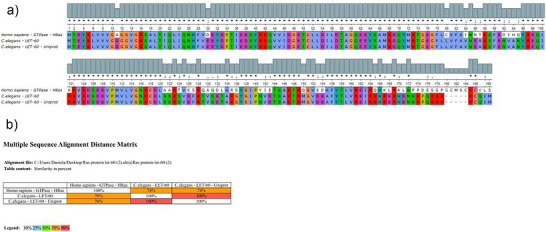 PMC13480929 – cbdv71592-fig-0007