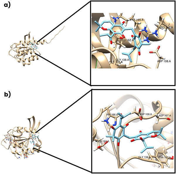 PMC13480929 – cbdv71592-fig-0005