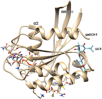 PMC13480929 – cbdv71592-fig-0010