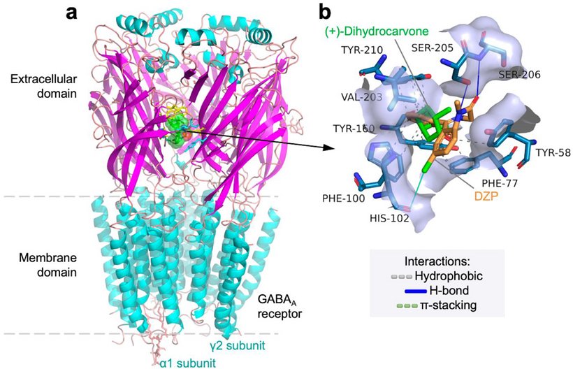 PMC13495118 – cbdv71612-fig-0008