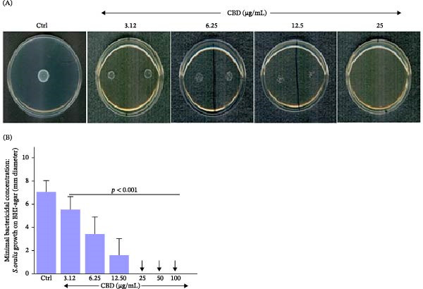 PMC13469321 – fig-0005