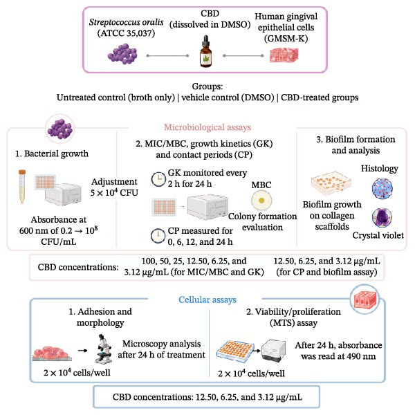 PMC13469321 – fig-0001