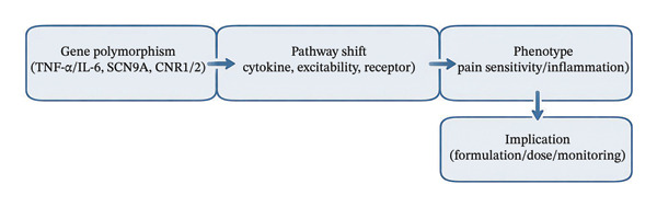 PMC13426322 – fig-0006