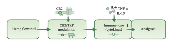 PMC13426322 – fig-0005