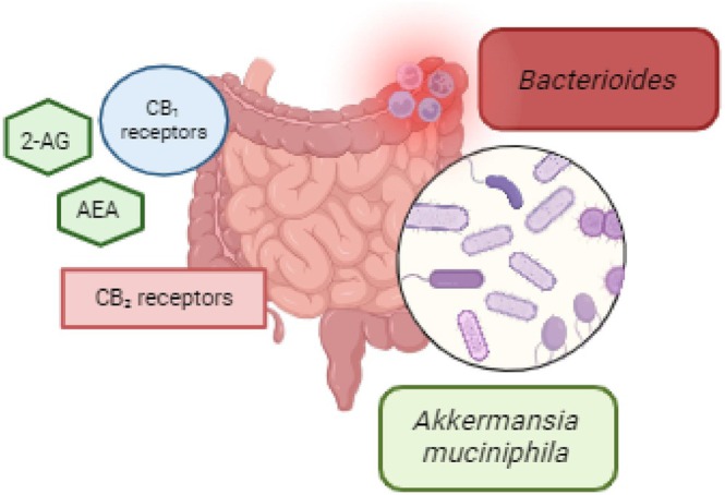 PMC13428027 – prp270304-fig-0002